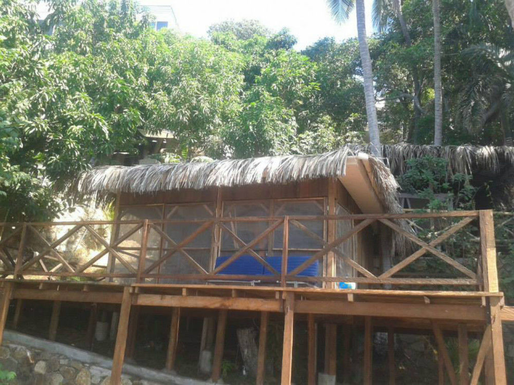 Cocos Camp Hotell Acapulco Exteriör bild